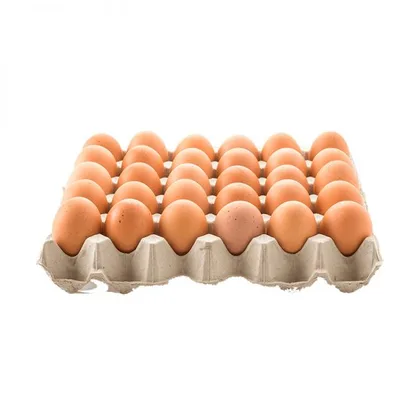 HUEVOS SEGUNDA CAFÉ