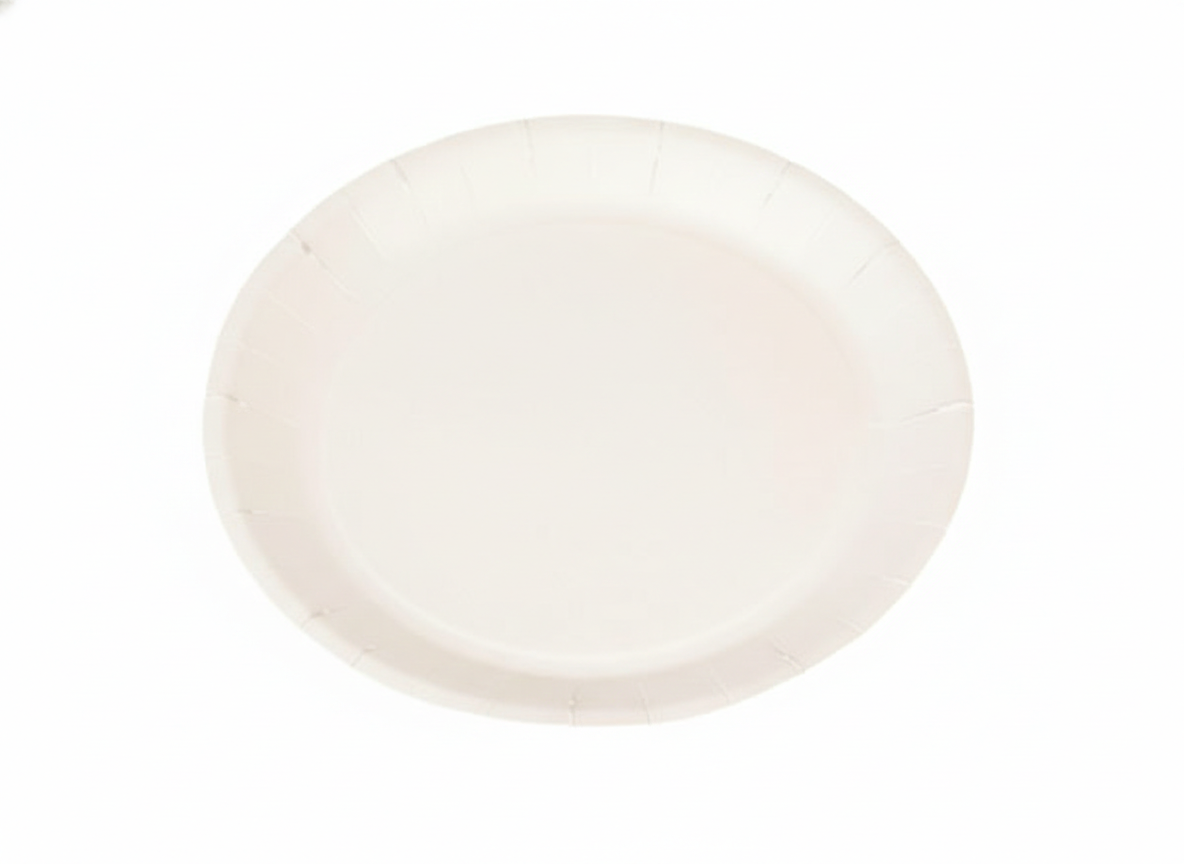 PLATO BLANCO CARTULINA N3 250 UNIDADES